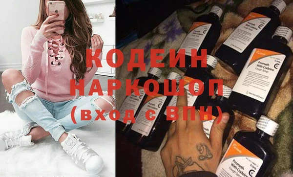 молекула духа Осташков