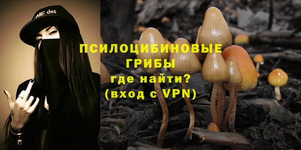 молекула духа Осташков